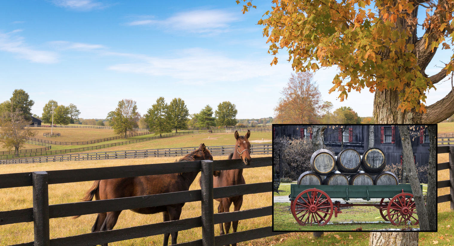 Horse Tails and Bourbon Trail