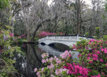 Springtime in the South