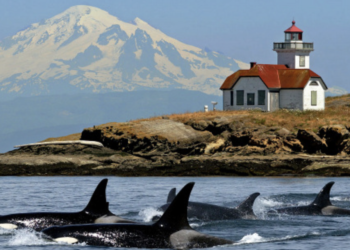 Pacific Northwest