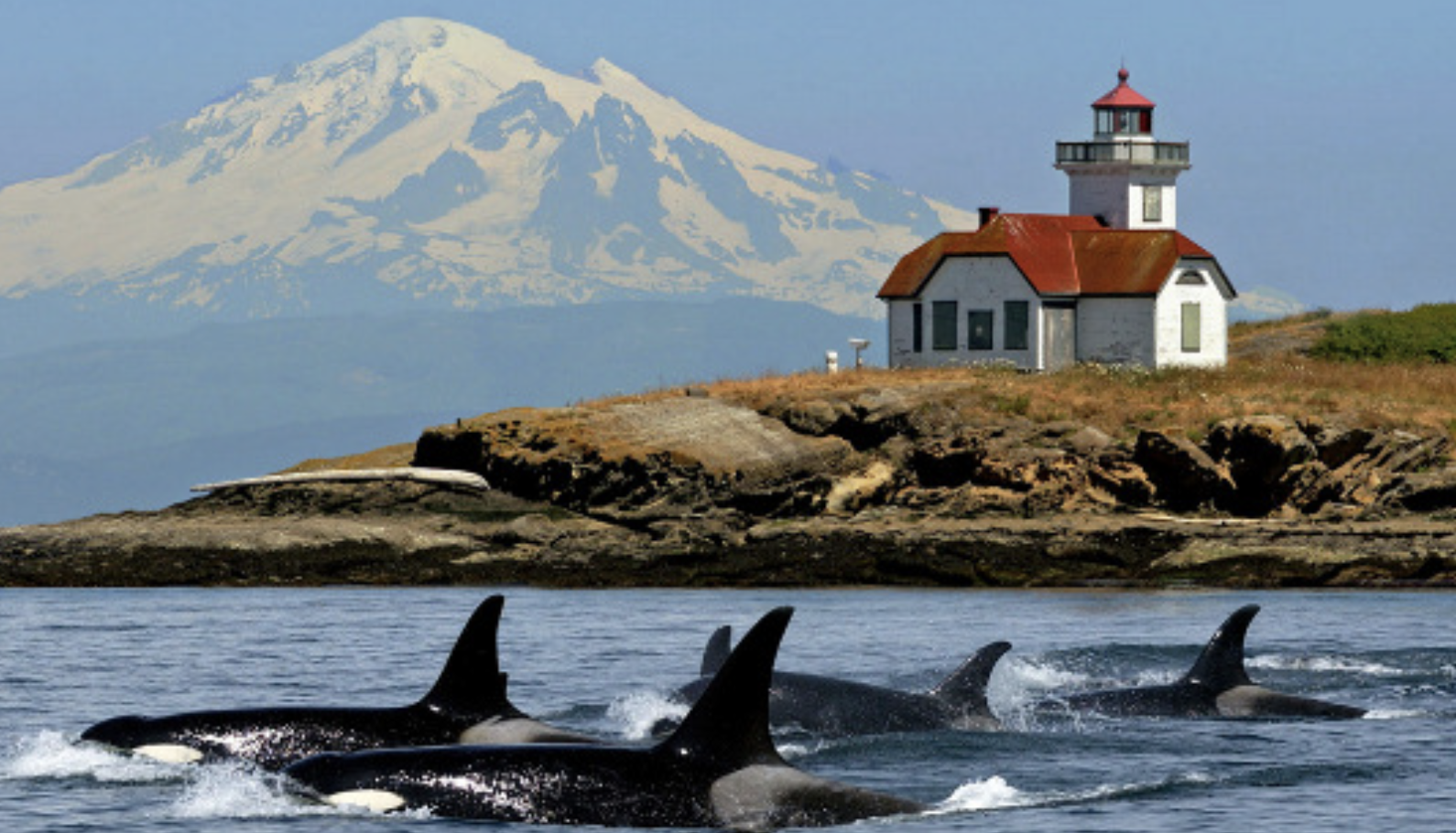 Pacific Northwest Featuring San Juan Islands Cruise