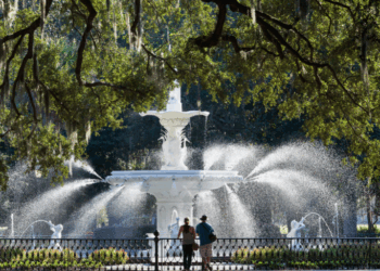 Springtime in the South