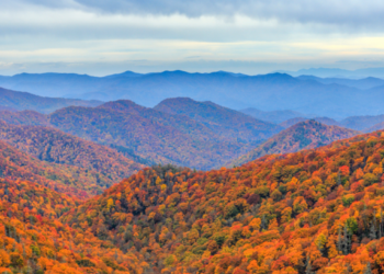 Virginia’s Shenandoah Valley and Blue Ridge Views