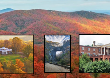 Timeless Virginia:  Nature, History & Harvest